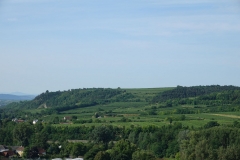 Gfoehl_DSC01560