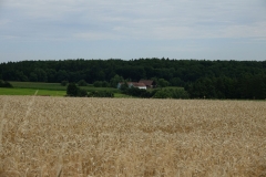 Gfoehl_DSC01603