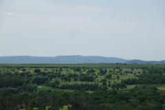 Gfoehl_DSC01635