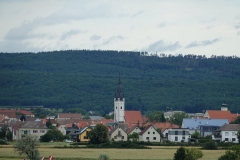 Horn_DSC00543