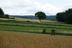 Horn_DSC00584