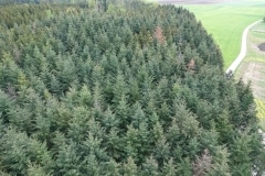 Irnfritz_DSC09831
