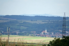 Schloss-Wisent_DSC03298